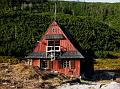 Pawel (261)